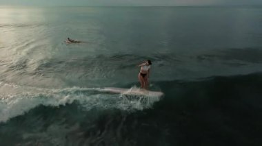 Dalgayı yakalayan ve dengesini korurken zarif adımlarla ilerleyen bikinili seksi genç bir kadın sörfçünün hava görüntüsü. Gün batımında okyanusta güzel bir sörf..