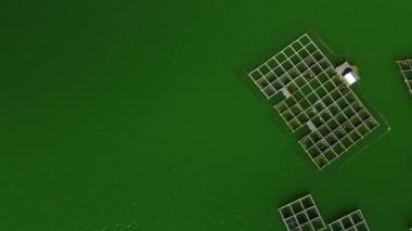 Turkuaz suyu olan bir gölde bulunan balık çiftliğinin en üst görüntüsü. Yiyecek için tatlı su balıklarının yetiştirildiği bir köy çiftliği. İçinde ağ olan kare bal peteği.