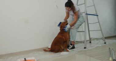 İnşaat eldivenleri giymiş genç bir kadın merdivene oturur ve Golden Retriever köpeğini öper. O, yeni dairesini yeniliyor, duvarları alçılıyor. Tadilatta küçük bir yardımcı..