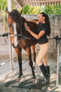 Spor kıyafetleriyle bir çiftlikte genç bir kadın özel bir fırçayla at ceketini tarıyor. Evcil bir atın bakımı ve bakımı. Ata binmek için hazırlık. Veteriner tıbbı ve tımar.