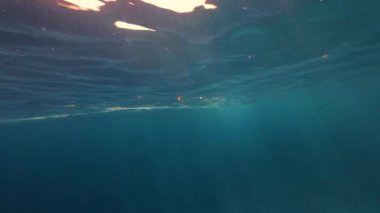 Suyun altından okyanus su yüzeyinin görüntüsü. Güneşin parlak ışınları suyu delip geçiyor. Suda çöp var, okyanus kirliliği büyük bir sorun. Ekolojik felaket.