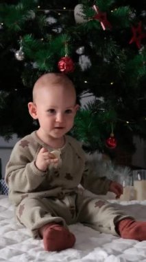 Sabahları Noel ağacının yanında oturmuş sütle kurabiye yiyen pijamalı küçük bir kızın portresi. Sihirli Noel sabahı çocuklar Noel Baba 'dan hediye arıyorlar..