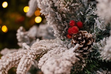 Bir alışveriş merkezinde satılık olan çeşitli Noel ağaçlarının dallarının yakın çekimleri. Ağaçların konileri ve kırmızı böğürtlenleri vardır ve ışıklarla süslenmişlerdir. Noel ağacı satışı. Tatil alışverişi..