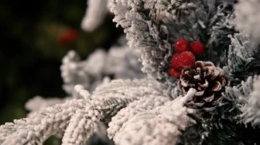 Bir alışveriş merkezinde satılık olan çeşitli Noel ağaçlarının dallarının yakın çekimleri. Ağaçların konileri ve kırmızı böğürtlenleri vardır ve ışıklarla süslenmişlerdir. Noel ağacı satışı. Tatil alışverişi..
