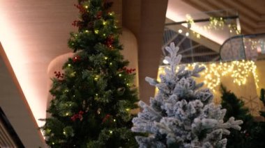 Alışveriş merkezinde satılık bir Noel ağacının dipten görünüşü. Ağacın çam kozalakları ve kırmızı böğürtlenleri var ve ışıklarla süslenmiş. Noel ağacı satışı. Tatil alışverişi..