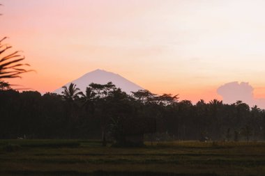 Endonezya 'daki Bali tropikal adasında Agung yanardağına bakan gündoğumu. Gökyüzü pembe ve altınla dolu. Pirinç tarlalarında ve dağlarda hafif bir sis var. Arkaplan resmi.