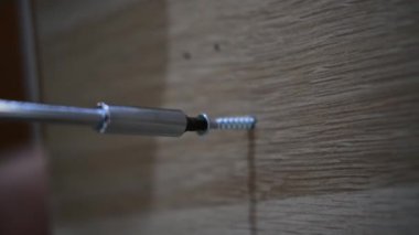 Tornavidayla vidalanan bir civatanın yakın çekimi. Oturma odası için komodin oluşturma süreci. Ev tadilatı ve iç dekorasyon için yeni mobilyalar. Yeni bir eve taşınıyorum..