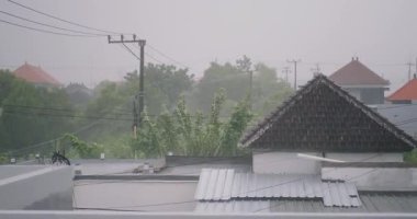 Tropik bir fırtınanın çatısından bak. Ağaç dalları güçlü rüzgarda sallanır, yağmur damlaları rüzgar tarafından farklı yönlere taşınır. Doğal afet. Endonezya 'daki tayfun. İklim değişimdir..