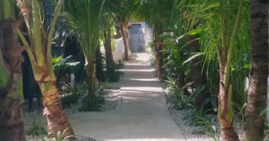 Çiçekli bir bahçedeki otelin manzarası. Palmiye ağaçları gölgelik. Sakin ve huzurlu bir ada kaçamağı için tropik bir tatil yeri..