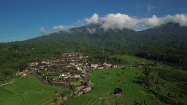 Bali 'deki Jatiluwih pirinç tarlalarının havadan görünüşü. Kırsal kesimdeki bu yeşil teraslar turistlerin ilgi odağı haline geldi. Dağlar ve tepeler yeşil tarlaların arka planında görülebilir..