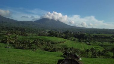 Bali 'deki Jatiluwih pirinç tarlalarının havadan görünüşü. Kırsal kesimdeki bu yeşil teraslar turistlerin ilgi odağı haline geldi. Dağlar ve tepeler yeşil tarlaların arka planında görülebilir..
