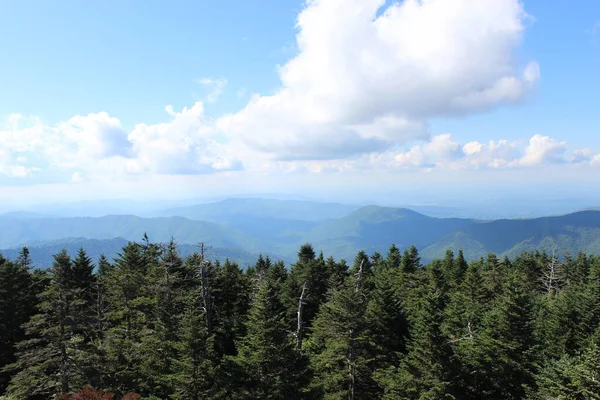 Stora Smokey Mountains Pine Trees Med Blå Himmel Och Moln — Stockfoto