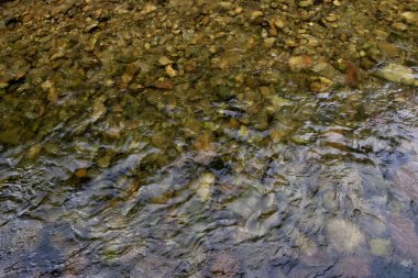Dolina Chochoowska nehrinden akan su