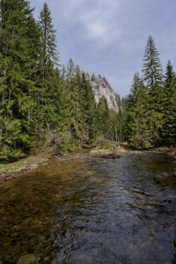Kayalık bir dağ nehri manzarası Dolina Chochoowska