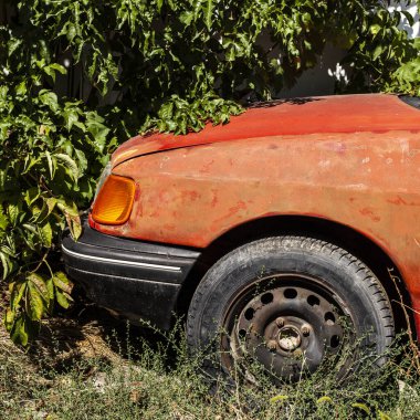 Yoğun bitki örtüsünde terk edilmiş kırmızı araba. Yakın plan. Sosyal medya için kare fotoğraf