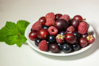 Ahududu, siyah frenk üzümü ve Bektaşi üzümü. Çeşitli böğürtlen ve nane filizi. Pişirme ve meşrubat malzemeleri.