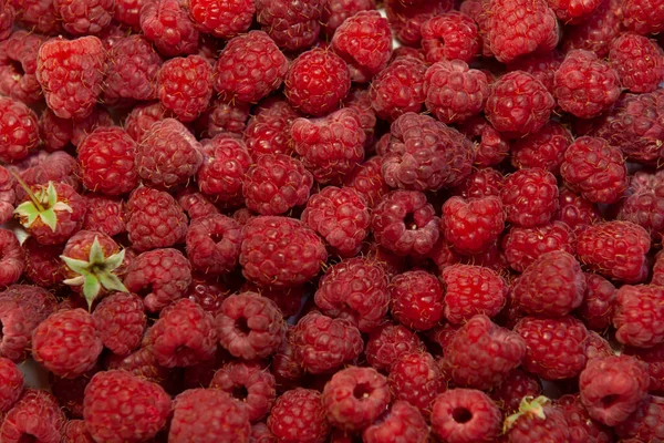 Ripe Raspberry Full Frame Background Fresh Organic Berries Top View — Stock Photo, Image