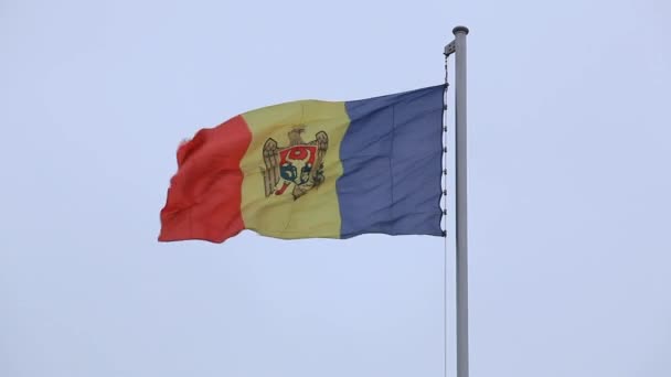 Moldova Cumhuriyeti Bayrağı Rüzgarda Dalgalanıyor — Stok video