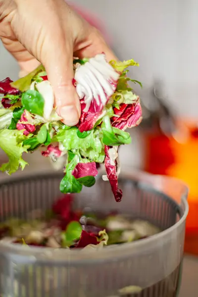 Kadın salata yapraklarını santrifüj makinesinde yıkıyor. Evde mutfakta sağlıklı bir öğle yemeği hazırlığı. Keto konsepti. Hareket bulanıklığı.