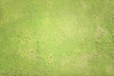 Eski soluk boyalı mavi beton yüzey. Eski çimento dokusu