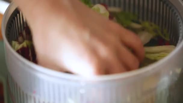 女人用离心机纺纱机洗色拉叶 在家厨房里准备健康的午餐 关键概念 后续行动 — 图库视频影像