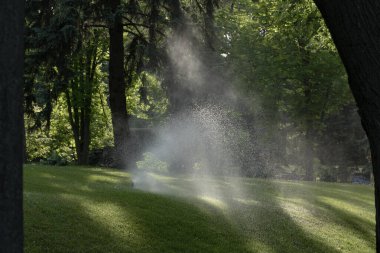 Çim sulama sistemi su püskürtüyor