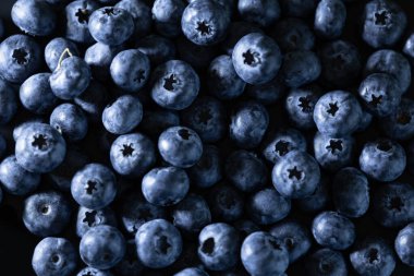 Doğal detayları olan taze yaban mersini ve dramatik ışıklandırmada doku..