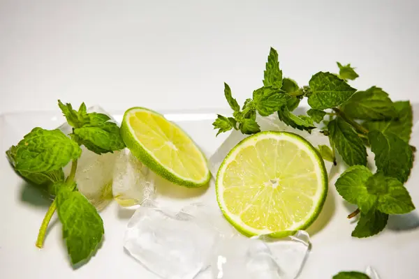 Beyaz arka planda çıtır nane filizi, limon dilimleri ve buz küpleri. Taze ve temiz besin bileşimi.