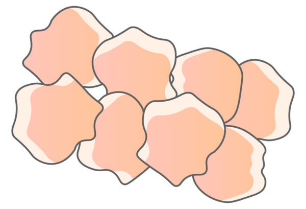 Paketlenmiş Tavuk Bacağı (İllüstrasyon)