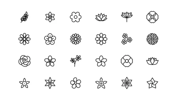 Set Iconos Flores Flores Aisladas Sobre Fondo Transparente Flores Moderno — Archivo Imágenes Vectoriales