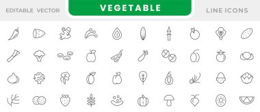 Sebze çizgisi simgesi seti. Vejetaryen yemeği, düzgün beslenme, domates, kiraz, salatalık, biber, brokoli, patates, havuç, lahana, balkabağı, kök, sarımsak çizgisi ikonu seti. İnce satır simgesi kullan.