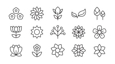 Flower line icon set. rose, tulip, daisy bouquet,  violet, jasmine, calendula, echinacea, iris, chamomile,  gardening,  landscaping, sunflower, lily, dandelion, chrysanthemum line icon set. UI thin line icon pack. clipart