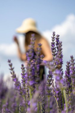 Tarlada lavanta çiçekleri olan kadın.