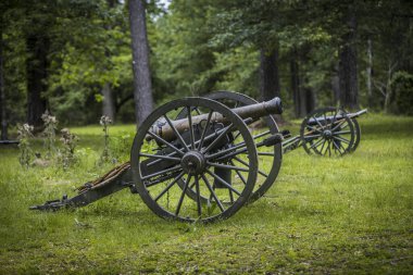 Louisiana 'daki Port Hudson' da iç savaş dönemi topu. Yüksek kalite fotoğraf