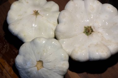 Patates tavası ya da beyaz kabak. Yüksek kalite fotoğraf