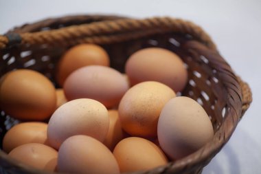 Taze kahverengi bahçe yumurtası fotoğrafı. Yüksek kalite fotoğraf