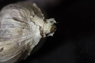 Stüdyo çekiminde taze sarımsak ve ampuller. Yüksek kalite fotoğraf