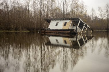 Atchafalaya Bataklık Havzası 'ndaki eski Cajun yüzen evi. Yüksek kalite fotoğraf