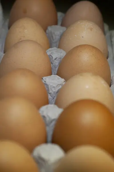 Свежие Коричневые Яйца Коробке Яйцами Высокое Качество Фото — стоковое фото