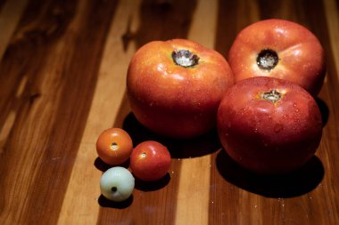 Bahçeden taze toplanmış domatesler. Yüksek kalite fotoğraf