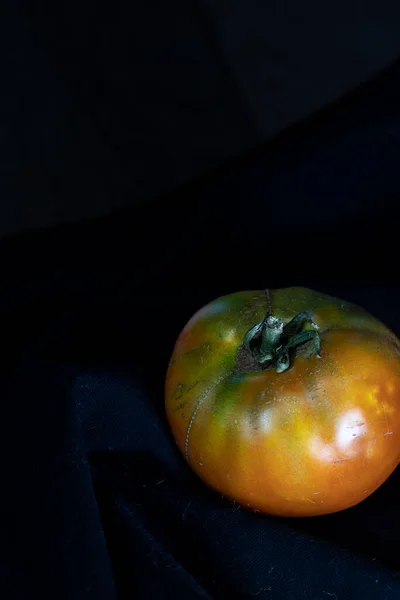 Fresh Picked Tomatoes Out Garden High Quality Photo — Stock Photo, Image