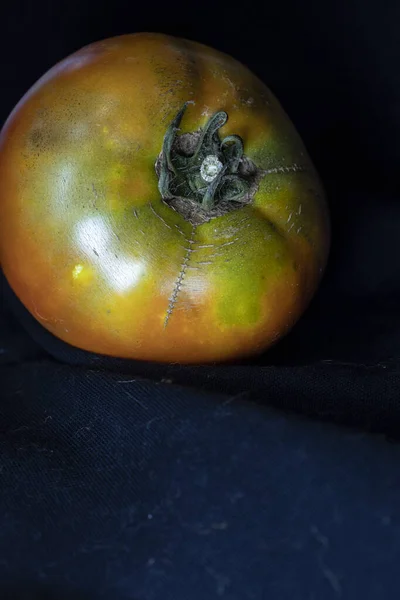 밖으로 신선한 토마토 품질의 — 스톡 사진