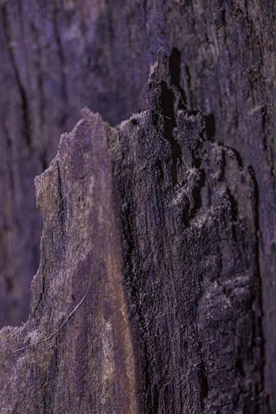 Rough Wood Textured Background Ridges High Quality Photo — Stock Photo, Image