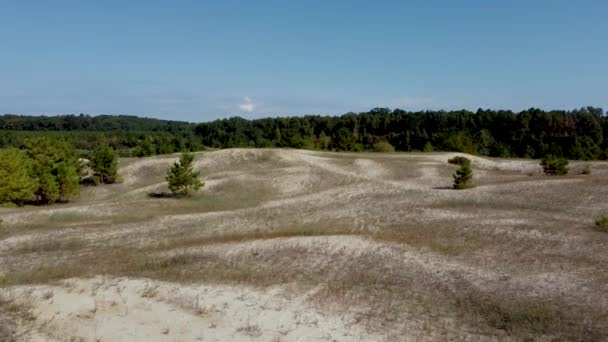 Drone Boven Een Kale Zandbak Woestijn Hoge Kwaliteit Beeldmateriaal — Stockvideo