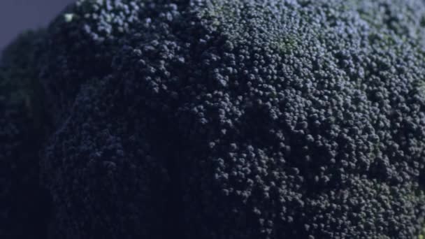 Macro Rotação Coroa Brócolis Fresco Imagens Alta Qualidade — Vídeo de Stock