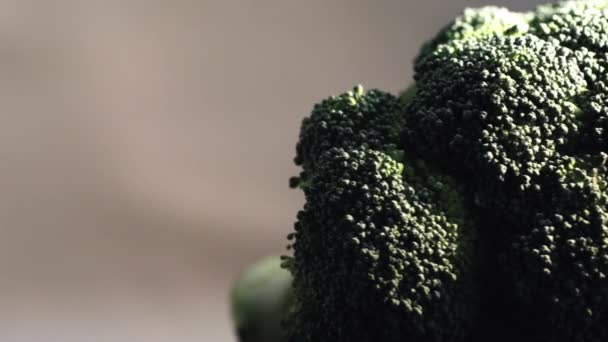 Macro Rotazione Corona Broccoli Freschi Filmati Alta Qualità — Video Stock