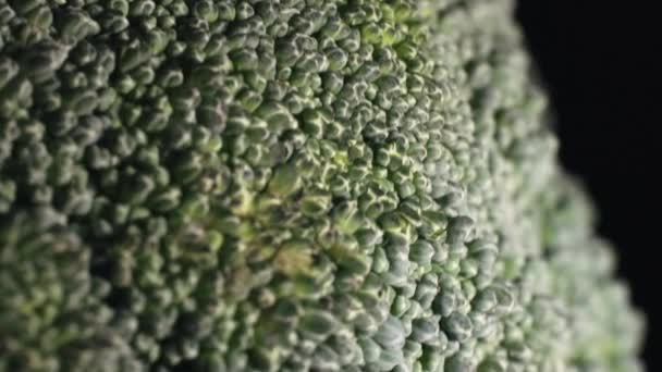 Macro Corona Brócoli Fresco Giratorio Imágenes Alta Calidad — Vídeos de Stock