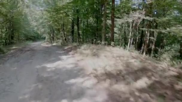 Auf Einem Feldweg Der Von Bäumen Übersät Ist Schnell Hinunterfahren — Stockvideo