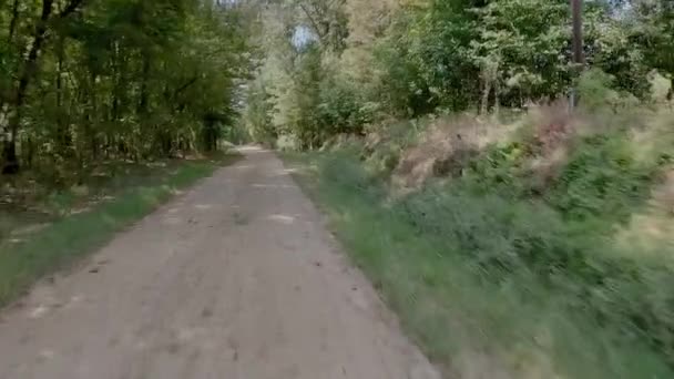 나무에 캐노피 도로를 고품질 — 비디오