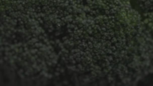 Makro Roterande Färsk Broccoli Krona Högkvalitativ Film — Stockvideo